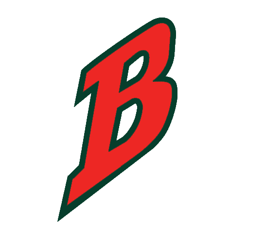 Buffalo Bisons 1998-2003 Cap Logo v2 iron on transfers for T-shirts